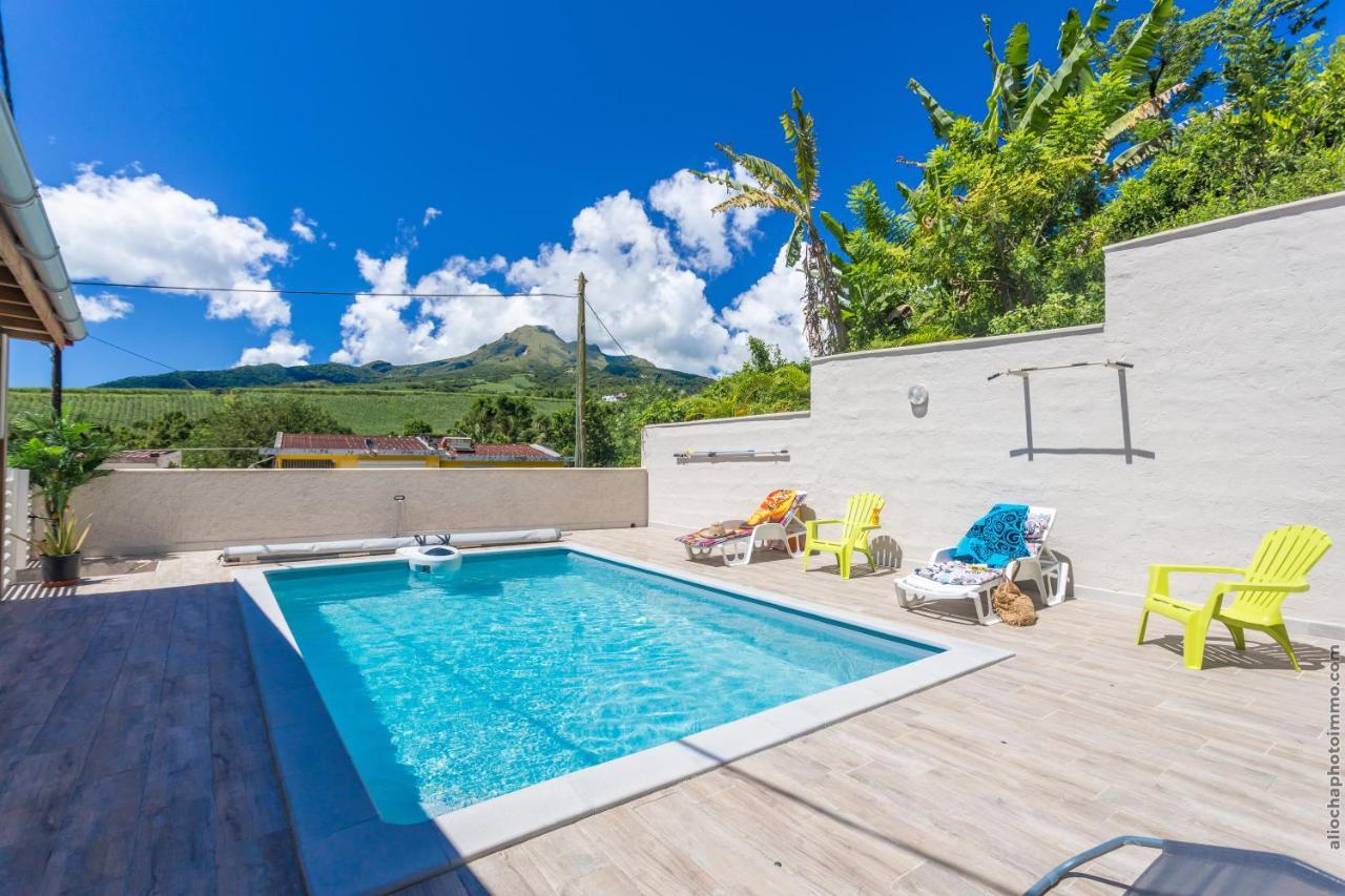 Heliconia - Appt Avec Piscine Partagee Lägenhet Saint-Pierre Exteriör bild